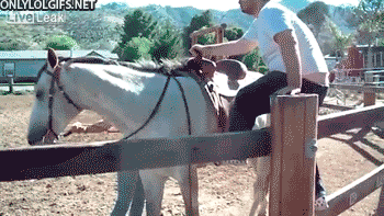 hN6xx8h.gif