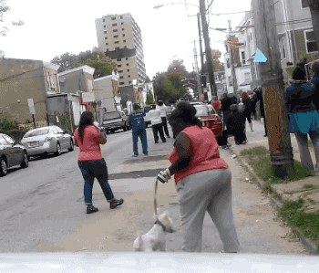 tumblr_o4vzdjabwk1uluepno1_400.gif