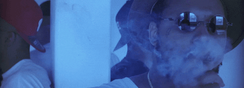 giphy.gif