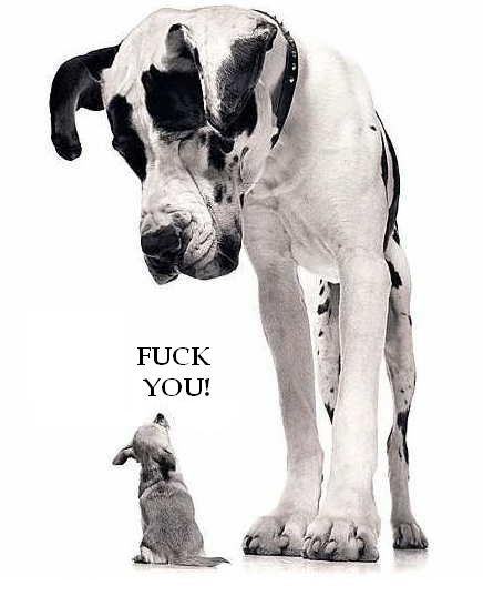 fuck_you.jpg