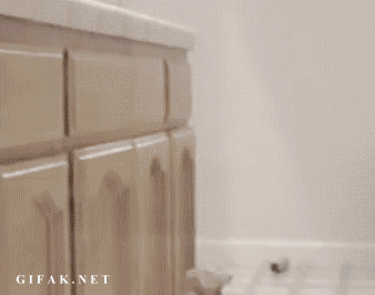tumblr_nm2m08rZom1s2yegdo1_400.gif