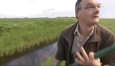 eKIW0B5.gif