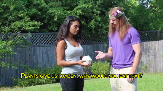 tumblr_o7bimzrohf1rc7zl1o4_540.gif
