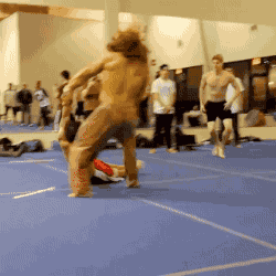 tumblr_nzbzj7zFM71s02vreo1_250.gif