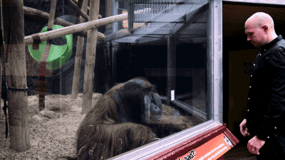 tumblr_of3nvdIxz21s02vreo2_400.gif