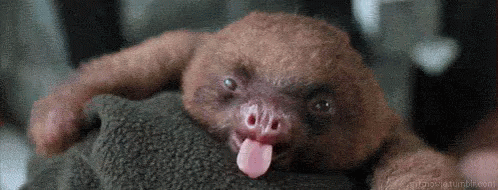 source.gif