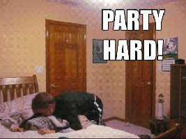 YvPFw.gif