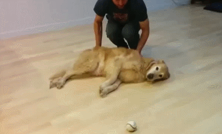 1436291166-5gbw690.gif