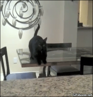 tumblr_ncz5bzAT9b1s02vreo1_400.gif