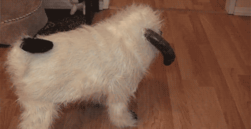 fV7cSUV.gif