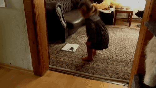tumblr_nrygp3VvA01s02vreo6_500.gif