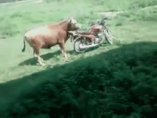 SUprozV.gif