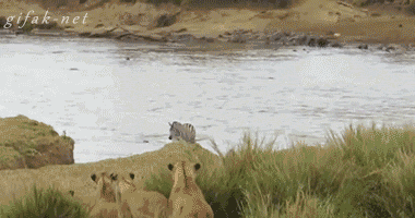 oEYfsKj.gif
