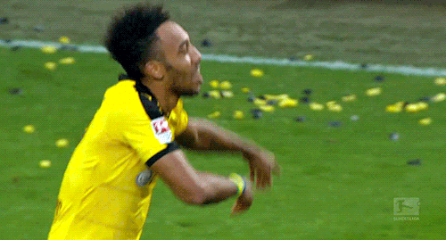 tumblr_o52rm1wZpy1rcupzfo2_500.gif