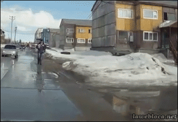 tumblr_n0adedjkH41s02vreo1_400.gif