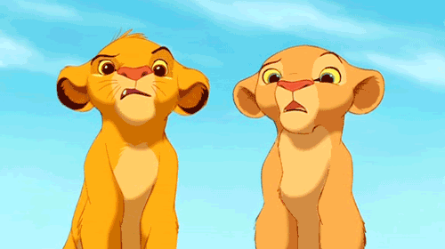 tumblr_lsitp9GB4v1qiijpmo1_500.gif