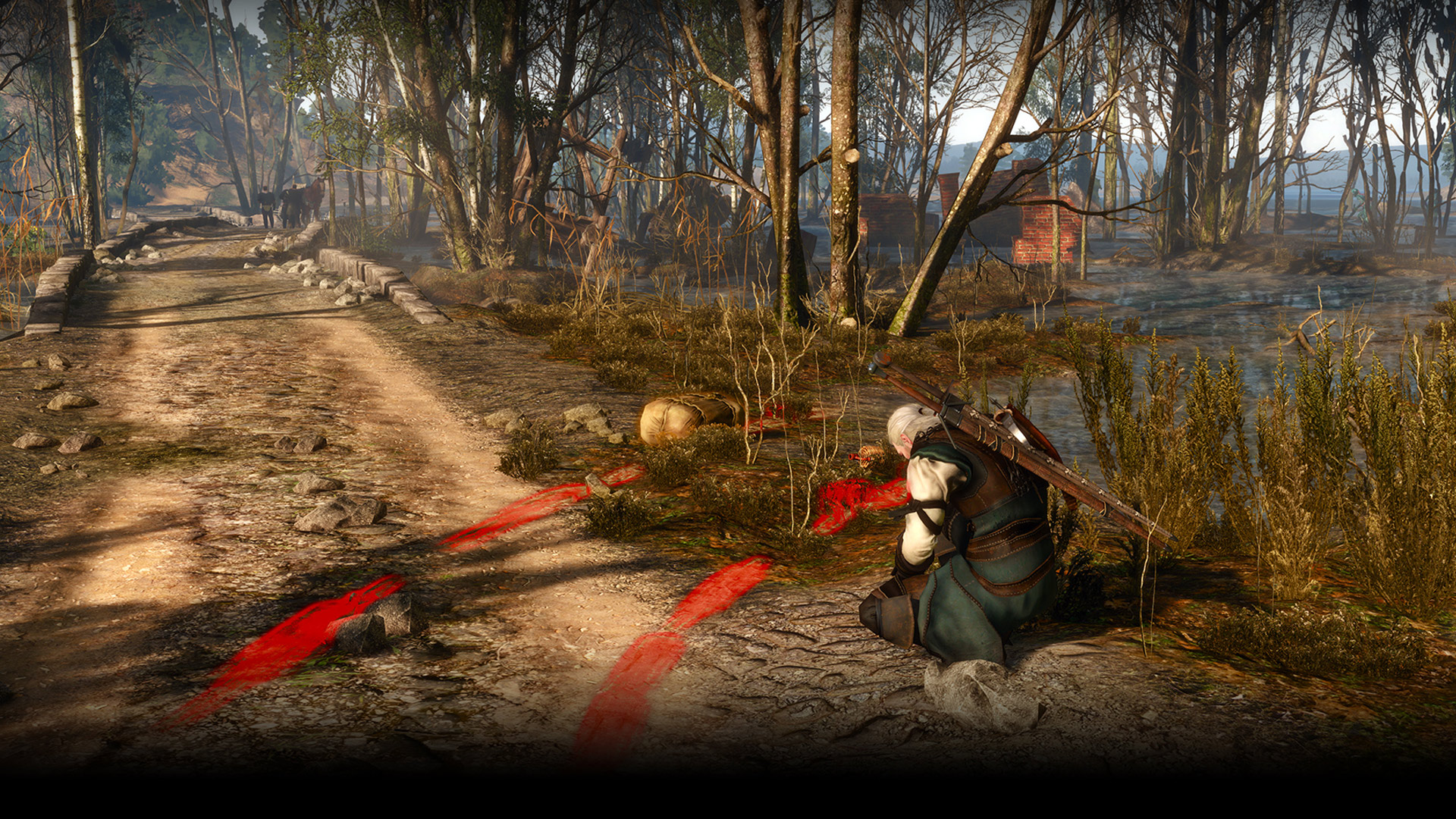 the_witcher_3_new3004_0007-pc-games.jpg