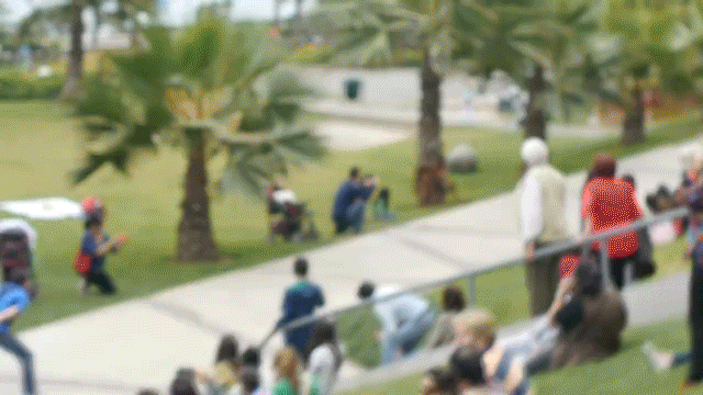 rzP4WVC.gif