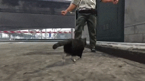 fBRY6RN.gif