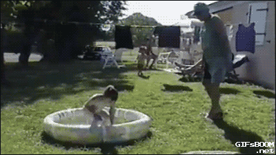 tumblr_nrkf32vdbI1s02vreo1_400.gif