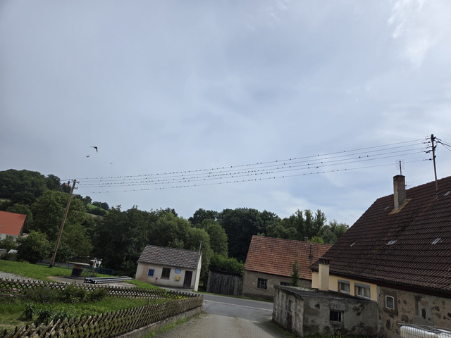 20250809-121433.jpg