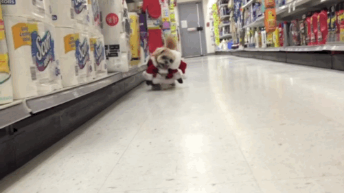 tumblr_nh0exlfBWg1s02vreo1_500.gif