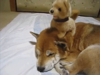 tumblr_mza0v2CIil1r03eaxo1_400.gif