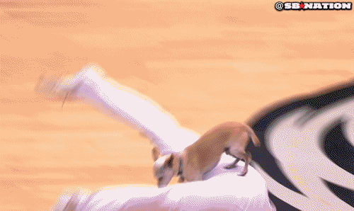 dog2.0_standard_709.0.gif