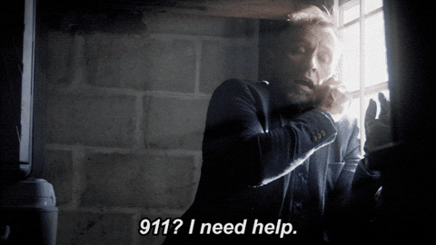 giphy.gif
