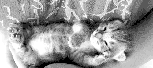 tumblr_n27iy5c43J1remw3ho1_500.gif