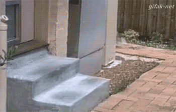 tumblr_nqylxc0nMT1s2yegdo1_400.gif
