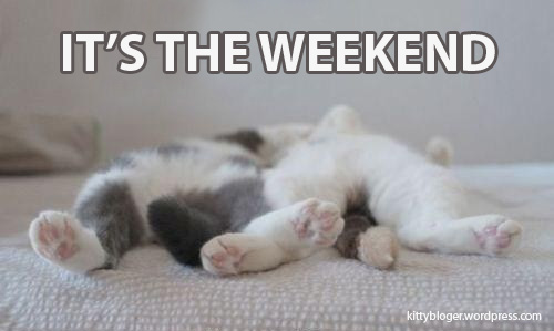 weekend-kitty-bloger1.jpg