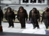 br5mpyz1s5dtxfwwl.gif