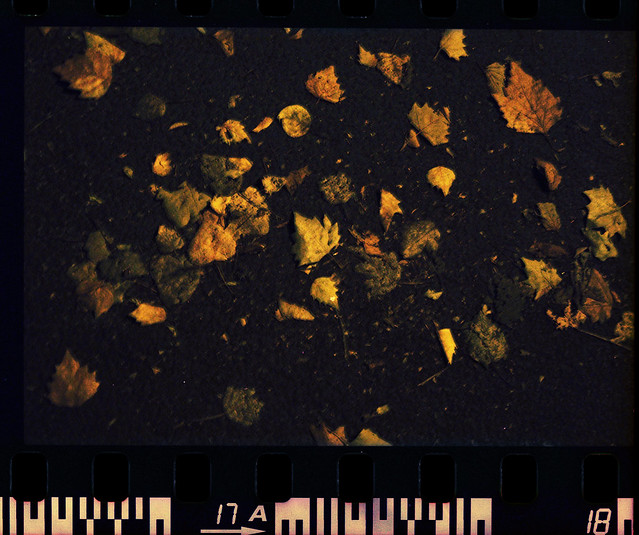 6257390722_3c7bb02f57_z.jpg