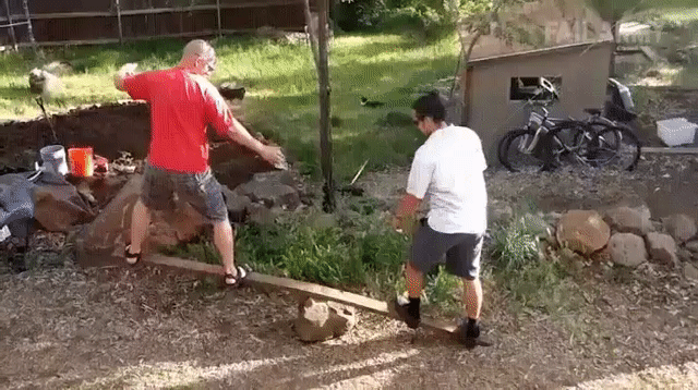 4.gif