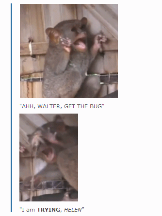 INBlBkA.png