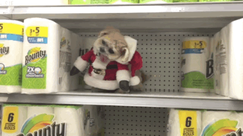 tumblr_nh0exlfBWg1s02vreo2_500.gif