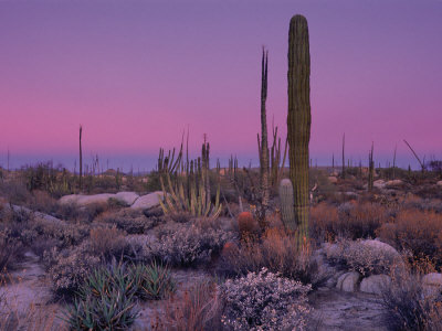 catavina-desert-mexico.jpg