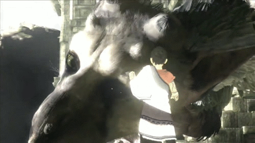 tumblr_mhlopyJWZE1qdqlkxo3_500.gif
