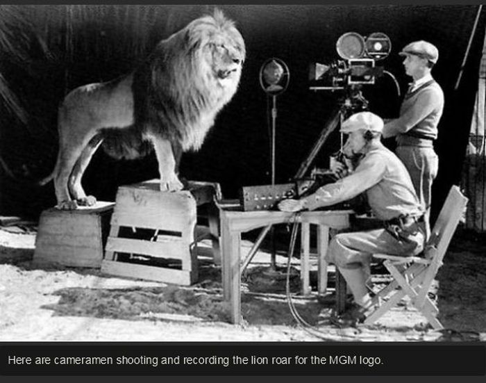 rare_historical_photos_19.jpg