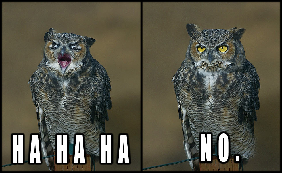 This+was+not+funny+at+all+_8a4123c0ff451f5dcff18a29b3321e39.jpg