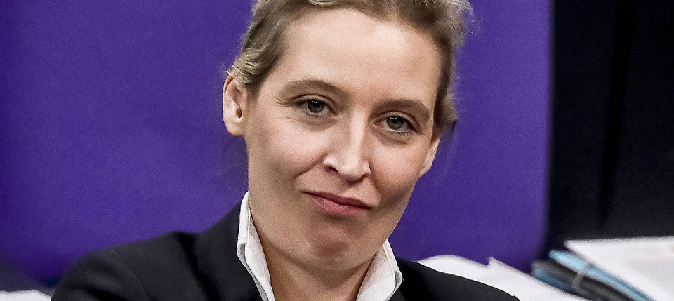 alice-weidel-hat-ihr.jpg