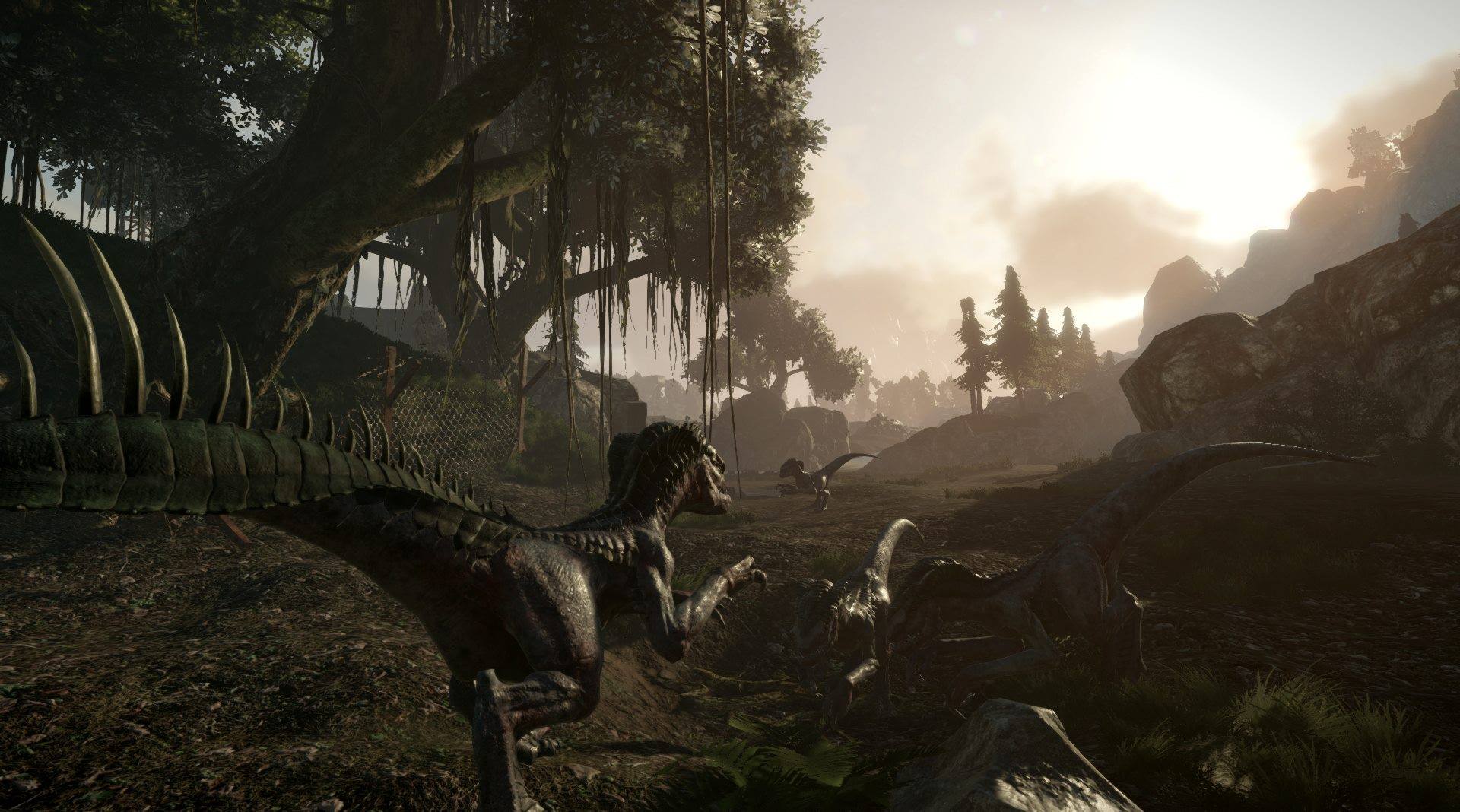 Raptor-in-Edan.jpg