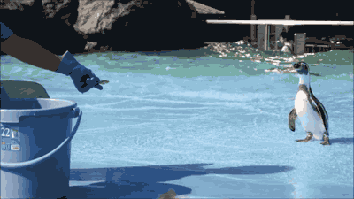 abd-287.gif