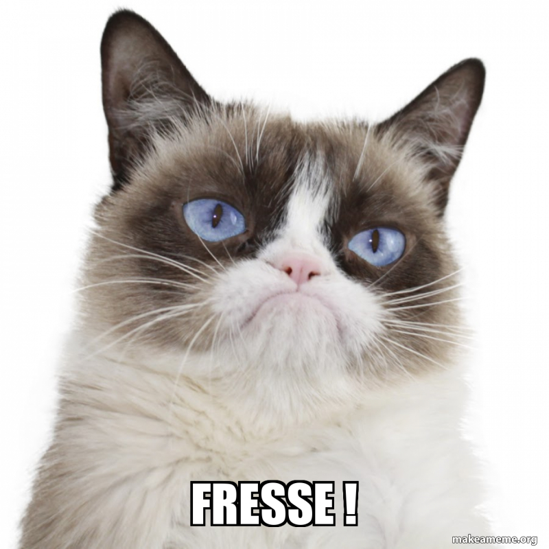 fresse-98e8662444.jpg