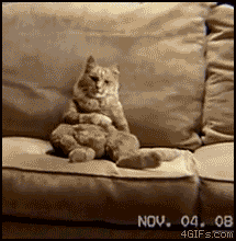 giphy.gif