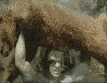 tumblr_lax52ggFY51qzzcqvo1_400.gif