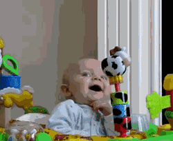 mcqBY.gif