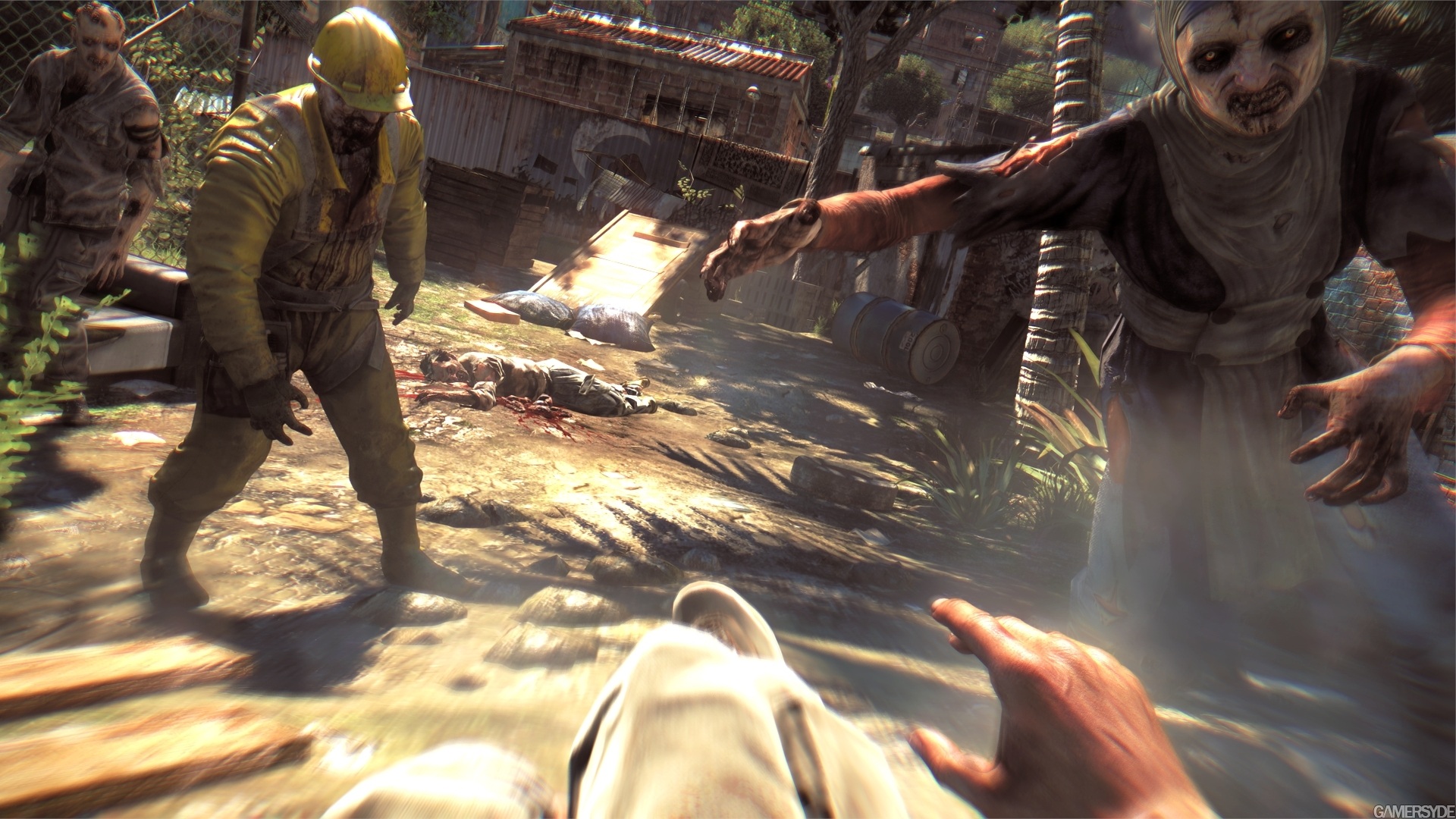 image_dying_light-22363-2724_0005.jpg