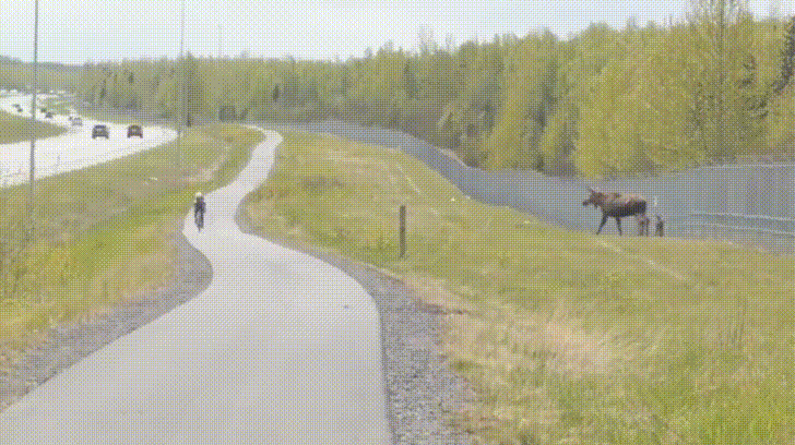 YPpuuSh.gif